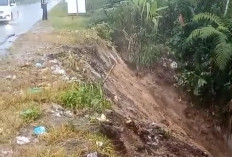 BPJN Diminta Tangani Longsor di Jalan Nasional di Pekon Bakhu