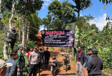 Polres Lampung Barat dan Stakeholder Pasang Imbauan dan Kamera Trap di Area Jelajah Harimau