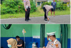 Evakuasi Cepat Korban Laka, Sat Lantas Polres Pesisir Barat Imbau Pengendara Patuhi Aturan