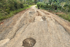Jalur Temiangan Hill Rusak Parah, Warga Harapkan Perbaikan Segera