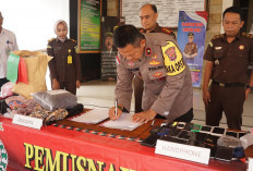 Kejari Lampung Barat Musnahkan Sabu, Ganja, Ekstasi Hingga Handphone