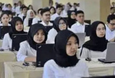 12 Alasan PPPK Paruh Waktu Bisa Diberhentikan
