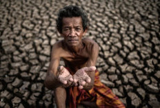 Tanah Merah, Papua Selatan Jadi Titik Terpanas di Indonesia Saat Kemarau 2025