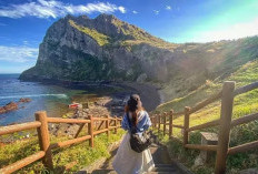 38 Turis Vietnam Hilang Tanpa Jejak di Pulau Jeju, Korea Selatan