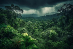 Hutan Tertua di Dunia Ternyata Bukan Amazon 