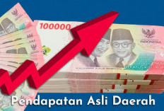 Triwulan I Tahun 2025,  PAD Lampung Barat   Tembus Rp19 Miliar