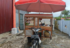 Motor Milik Pedagang  Bakso Keliling Dicuri