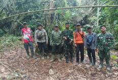 Tim Gabungan Tetap Semangat Cek Kandang Jebak dan Kamera Trap Meski Hujan Deras di Lokasi Serangan Harimau