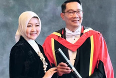 Hotman Paris Komentar Kasus Ridwan Kamil dan Lisa Mariana, Sebut Tes DNA Tak Ada Aspek Pidana