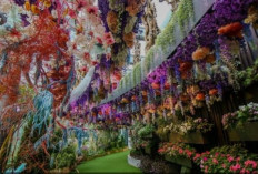 10 Pilihan Destinasi Liburan Akhir Tahun di Singapura