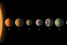 Parade Enam Planet Sejajar Hiasi Langit 28 Februari 2026, Ini Jadwal dan Cara Mengamatinya