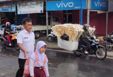 DP3AKB Laksanakan Gerakan  Ayah Teladan Indonesia