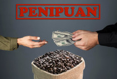 Soal Kebun Kopi Sengketa, Peratin Sidomulyo Arahkan Kedua Belah Pihak Musyawarah 