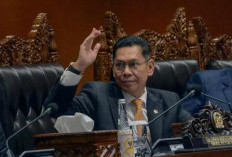 Adies Kadir Sampaikan LHKPN di Pengujung Batas Waktu, Alasan Kesibukan di Dapil