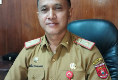 Harga Komoditas Perkebunan di Lambar Fluktuatif, Kopi Masih Jadi Unggulan