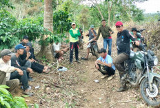 Konflik Gajah Suoh, Satgas Upayakan Blokade dan Penggiringan
