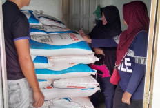 Serapan Pupuk Subsidi  Mencapai 64,22 Persen