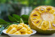 Manfaat Dan Efek Samping Konsumsi Buah Nangka