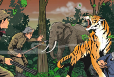 Konflik Satwa Liar,  WCS-TNBBS Dampingi Desa  Penyangga Bentuk Satgas 