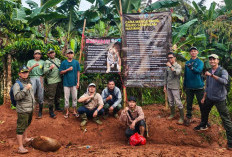 Lacak Pergerakan Harimau di Kayu Are,  Tim Tim Temukan Sejumlah Jejak 