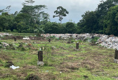 DLH Fokus Pemilahan dan Daur Ulang, Sampah di Pesisir Barat Capai Enam Ton per Hari