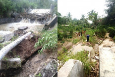 Banjir Rusak Irigasi Way Palakia, Puluhan Hektare Sawah Terancam