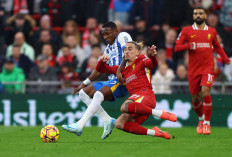 Cody Gakpao Cetak Gol Indah, Liverpool Tumbangkan Brighton