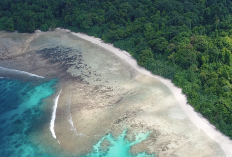 Menyelami Keajaiban Ujung Kulon,  Permata Alam di Banten