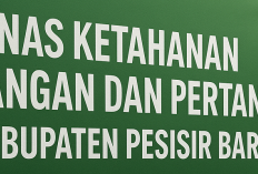 DKPP Selesaikan Usulan RDKK  Pupuk Bersubsidi Tahun 2026