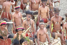 Simak Jenis Pakaian Adat Papua, Koteka Paling Dikenal