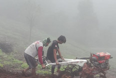 Manfaatkan 1 Hektare Lahan, Pekon Sedampah Indah  Sukseskan Food Estate