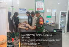 2 Motor di Mutaralam Adu Kambing,  Satu Orang Tewas di Tempat