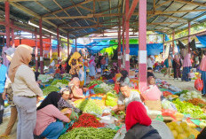 Harga Bawang di Pasar Liwa Merangkak Naik