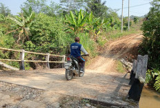 Jembatan Rusak Parah, Warga Bandar Negeri Suoh Berharap Perbaikan 