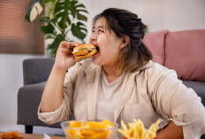 Cara Membakar Kalori Setelah Makan Malam Agar Berat Badan Tetap Terjaga