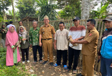 Program Ketahanan Pangan, Semarang Jaya Realisasian 700 Ekor Bebek dan Pakan