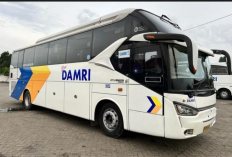 Mau Liburan ke Bromo? Kini Bisa Naik DAMRI! Ini Info Lengkap Rute dan Tarifnya