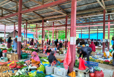 Harga Kebutuhan Pokok di Lampung Barat Tetap Stabil, Masyarakat Diuntungkan