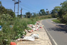 Peratin Minta Kesadaran Tidak Buang Sampah di Badan Jalan 