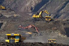 ESDM Catat Dana Jaminan Reklamasi  Tambang Capai Rp35 Triliun