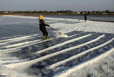 Pemerintah Longgarkan Impor Garam, Target Swasembada Diundur ke 2027
