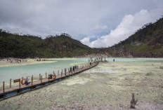 Menjelajahi Keindahan Alam Ciwidey, Destinasi Wisata yang Wajib Dikunjungis