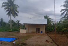 Penantian 13 Tahun Pekon Tanjung Sari untuk Miliki Balai Pekon Akhirnya Terwujud Meski Bangunan Sederhana