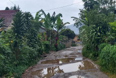 Lurah Pajar Bulan Berharap  Jalan Kabupaten Dibangun