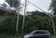 Tiang Listrik di Kota Besi Terancam Roboh, PLN Jadwalkan Perbaikan Pekan Depan