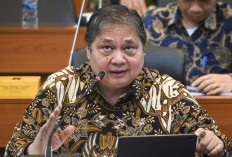 Bukan Hanya 3, Ternyata ada Banyak KEK yang Dipantau Pemerintah  