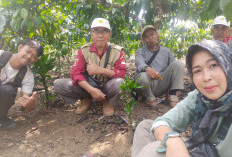 Dorong Petani Kopi Tingkatkan Kualitas