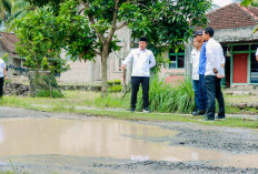 Empat Ruas Jalan Vital di Pesbar Segera Ditangani 2025