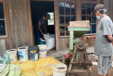 Harga Kopi Masih Tinggi, Petani Optimistis Sambut September