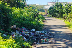 Antisipasi Tumpukan Sampah Pelanggan Selama Ramadhan, DLH Pesisir Barat Maksimalkan Pengangkutan Sampah